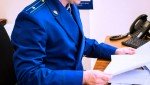 Прокуратура Нижегородской области взяла на контроль расследование уголовного дела по факту гибели малолетнего ребенка в Володарском районе